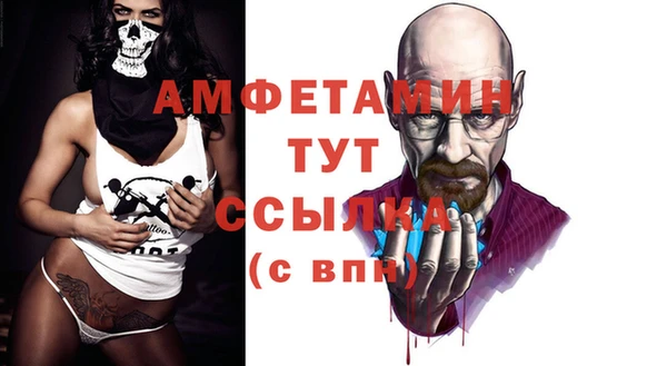 шишки Медвежьегорск