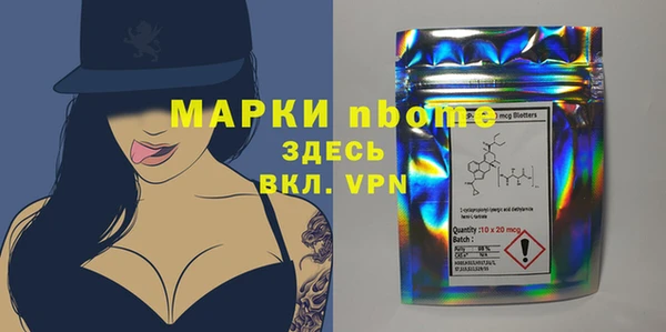 шишки Медвежьегорск
