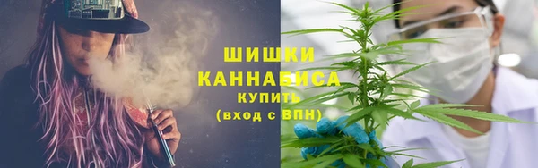ПСИЛОЦИБИНОВЫЕ ГРИБЫ Медногорск