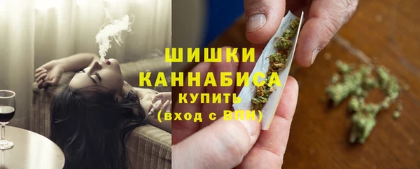 шишки Медвежьегорск