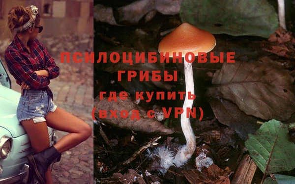 ПСИЛОЦИБИНОВЫЕ ГРИБЫ Медногорск