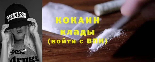 шишки Медвежьегорск