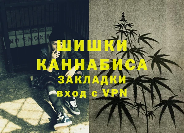 ПСИЛОЦИБИНОВЫЕ ГРИБЫ Медногорск
