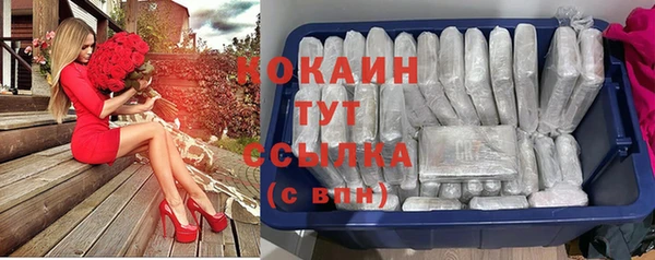 стаф Мегион