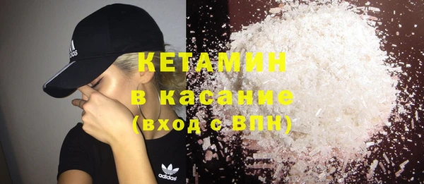шишки Медвежьегорск