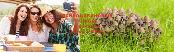 стаф Мегион