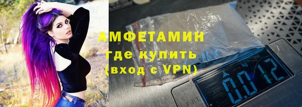 шишки Медвежьегорск