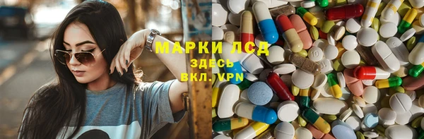 шишки Медвежьегорск
