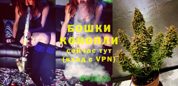 шишки Медвежьегорск